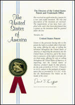 United States patent  US007585134B2 "Reinforced-concrete column in the soil pit and method of its construction"